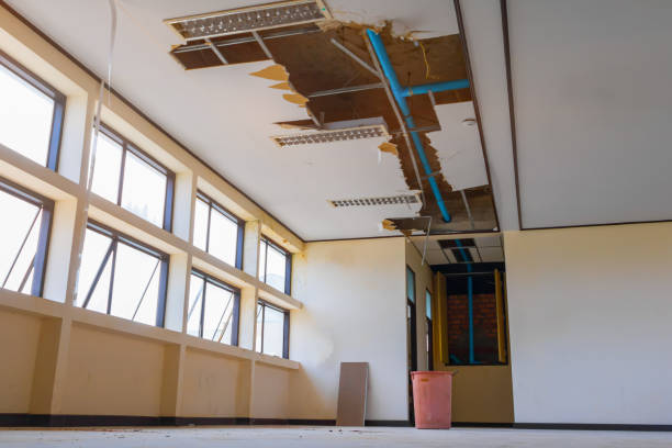 Best Flooded house restoration  in Thousand Palms, CA