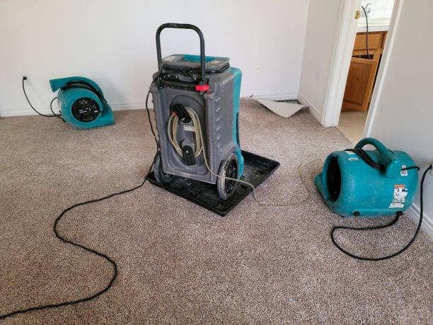 Best Water damage cleanup near me  in Thousand Palms, CA