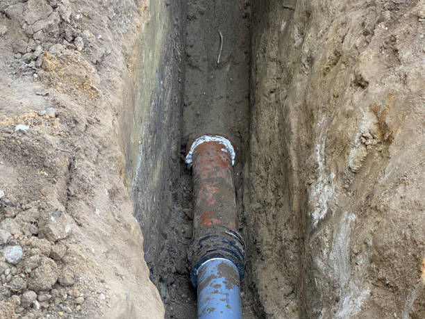 Best Flood restoration services  in Thousand Palms, CA
