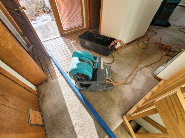 Best Residential water damage restoration  in Thousand Palms, CA