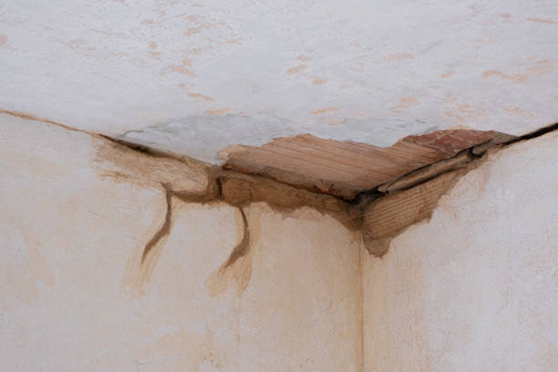 Best Water damage contractors near me  in Thousand Palms, CA