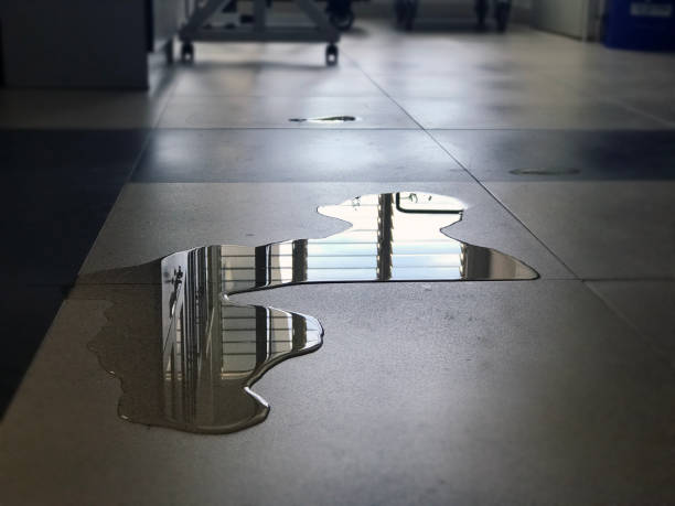 Best Water damage restoration cost  in Thousand Palms, CA