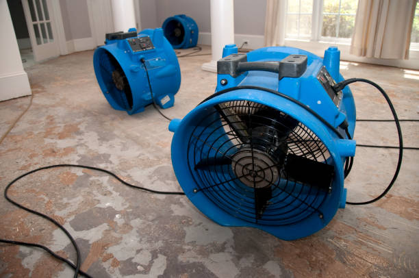 Best Water damage repair service  in Thousand Palms, CA