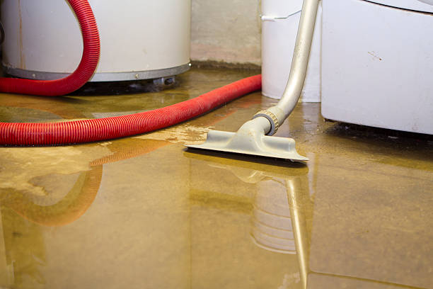 Best Local water damage restoration  in Thousand Palms, CA