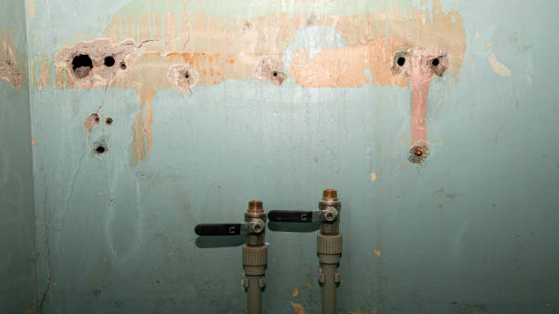Best Water damage restoration near me  in Thousand Palms, CA