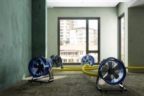  Thousand Palms, CA Water damage restoration Pros